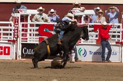 Calgary Stampede-2060